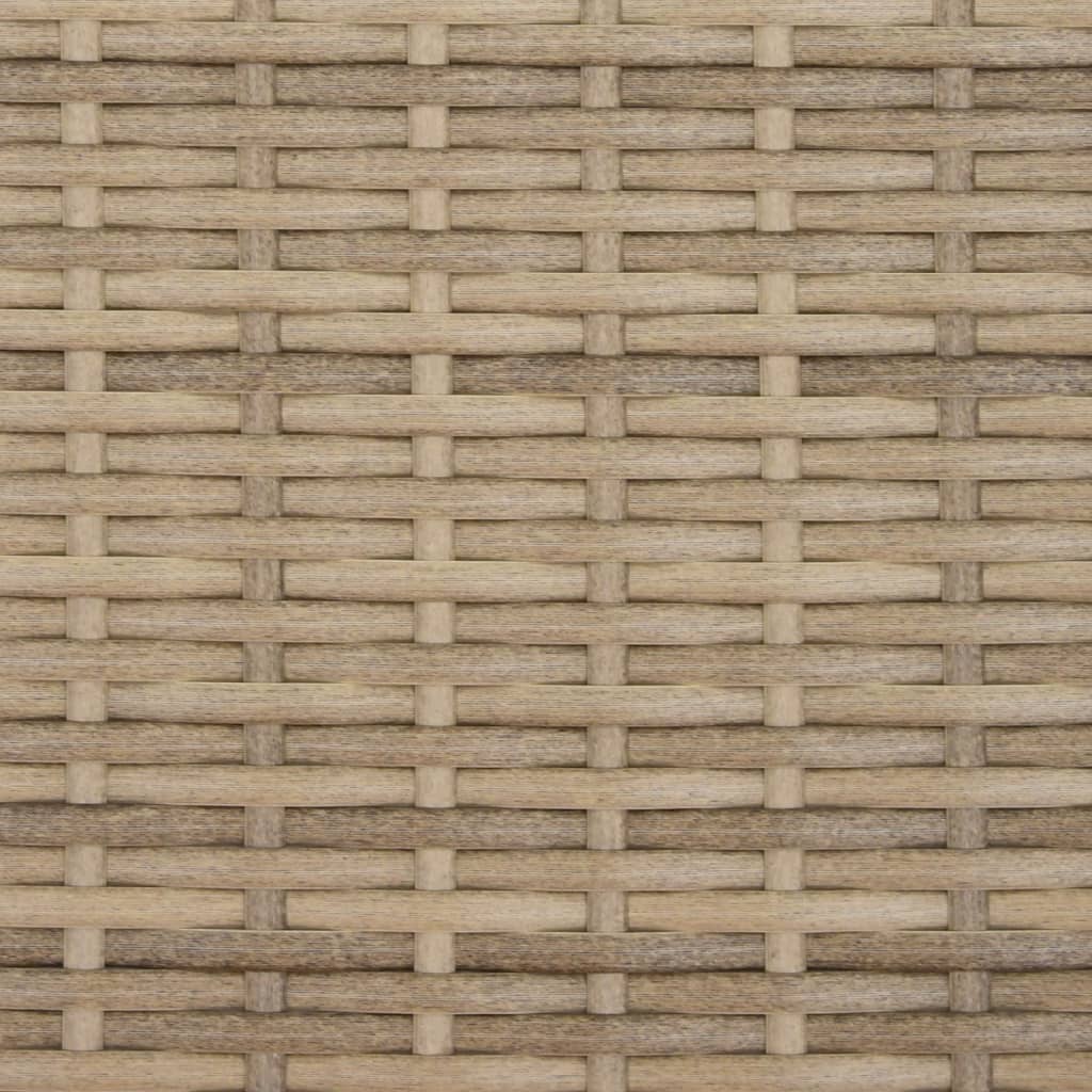 Tuinbank 2-Zits En Voetenbanken Poly Rattan