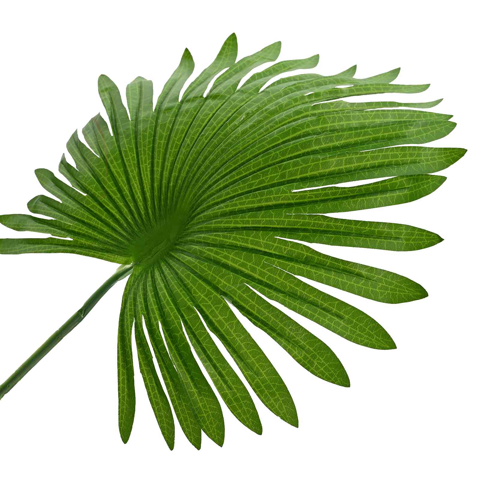 Kunstmatige Fan Palmboom Groen 75 X 25 X Stof En Bamboe